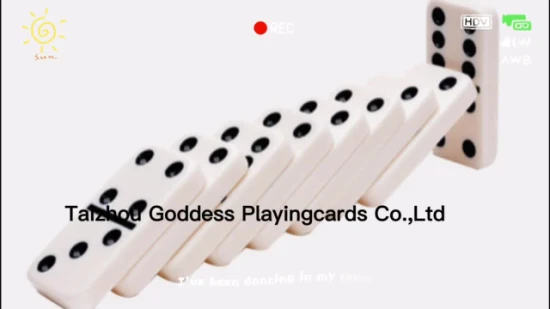 Set domino professionale in plastica rossa, set domino doppio da sei con scatola in pelle